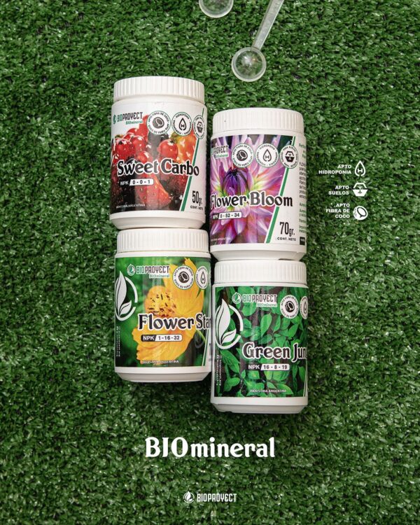 Combo Bioproyect mineral