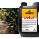 Detox Namaste Nutrientes