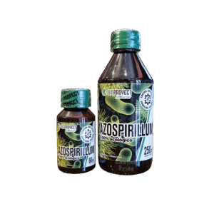 Azospirillum Bioproyect