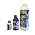 Micorrizas Bioproyect