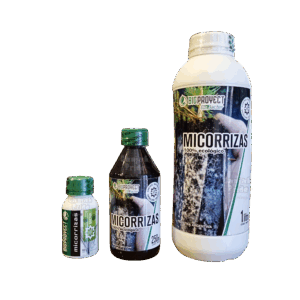 Micorrizas Bioproyect