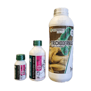 Trichodermas Bioproyect