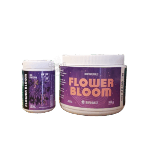 Flower Bloom Bioproyect mineral