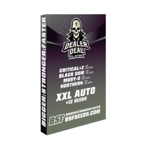 Pack Dealer Deal XXL Automix de BSF Seeds con doce semillas automáticas de cuatro variedades.